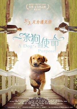 凯特一身银色亮片抹胸裙，性感亮眼，她和丈夫在红毯上深情对视，十分恩爱。