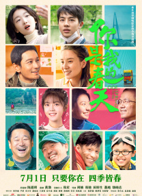 2025贺岁档档期票房破20亿!