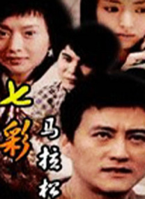 通过90年一场楼宇大火引发的一系列案件，讲述香港警察对正义与亲情的追寻，展现香港回归前后香港城市人情风貌的变化。